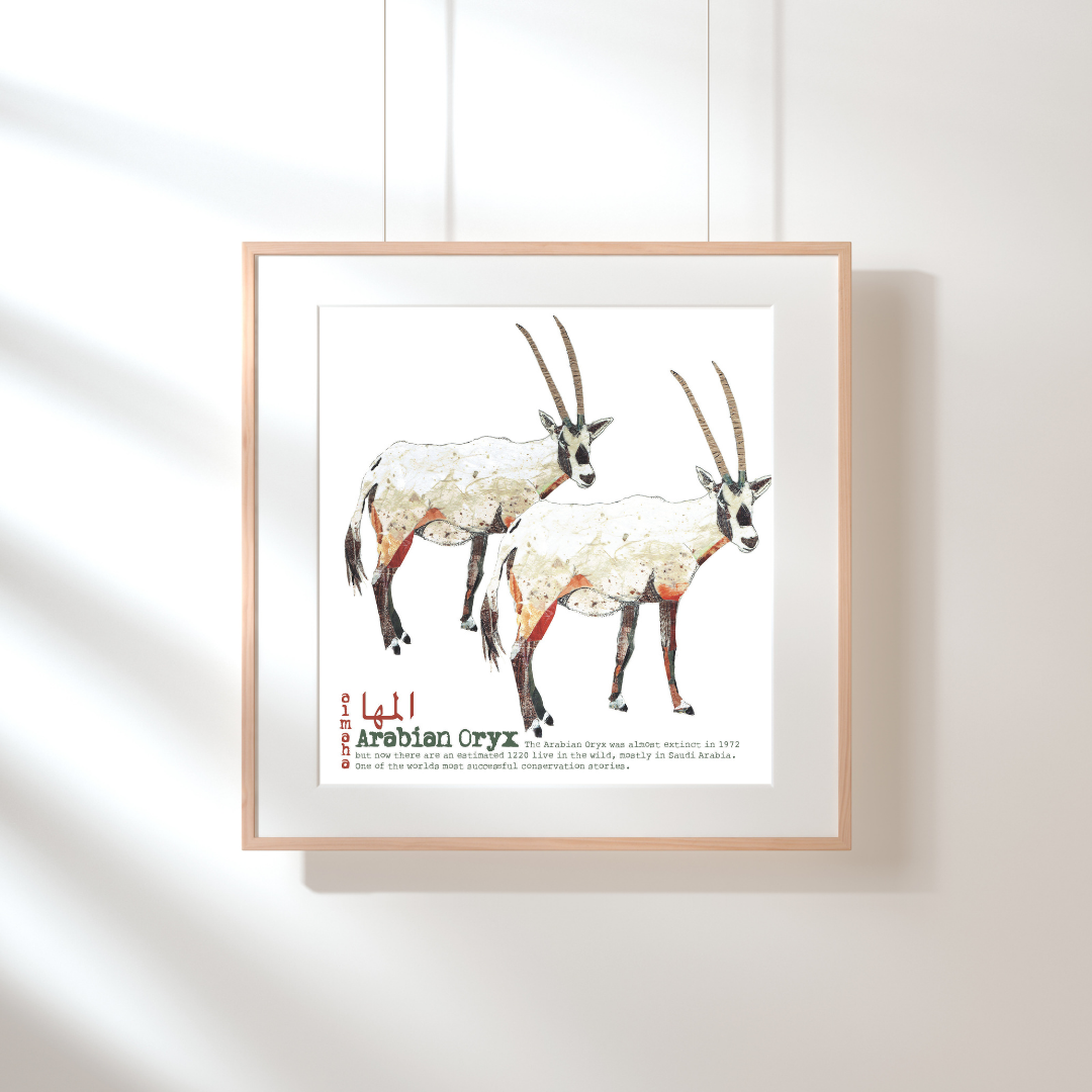 Framed ORYX  Print