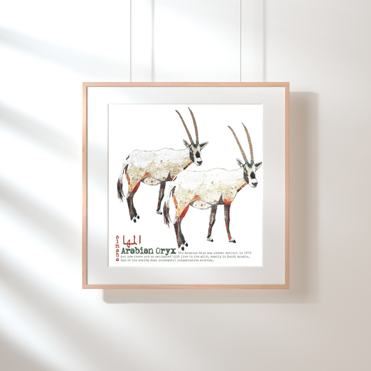 Framed ORYX  Print